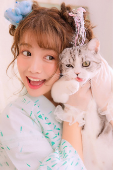 噼里啪啦在线看免费观看直播